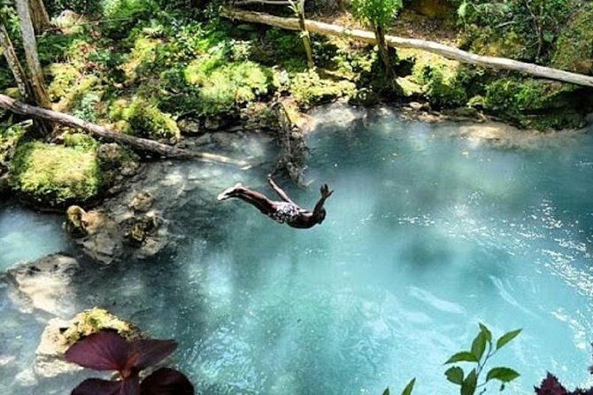 private-tour-blue-hole-and-fern-gully-rain-forest-adventure-from-negril