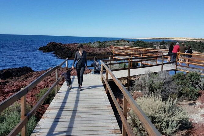private-tour-for-punta-tombo-cruise-ships