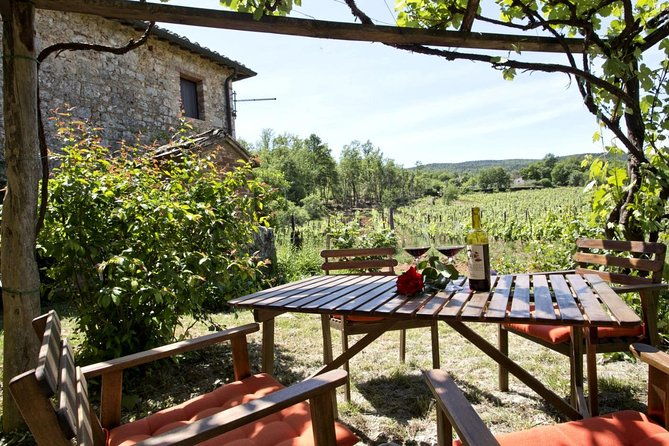 private-tour-from-livorno-port-to-chianti-wine-region