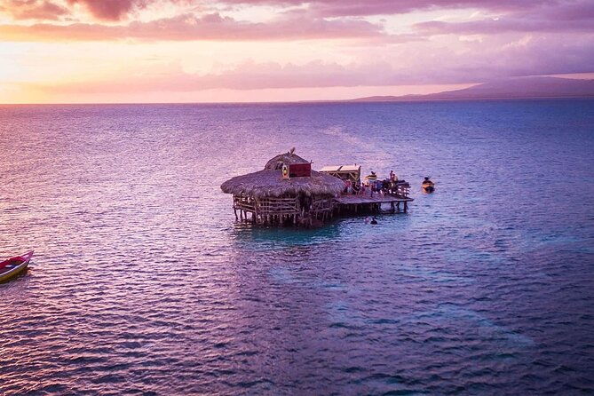 private-tour-from-negril-to-ys-falls-and-pelican-bar