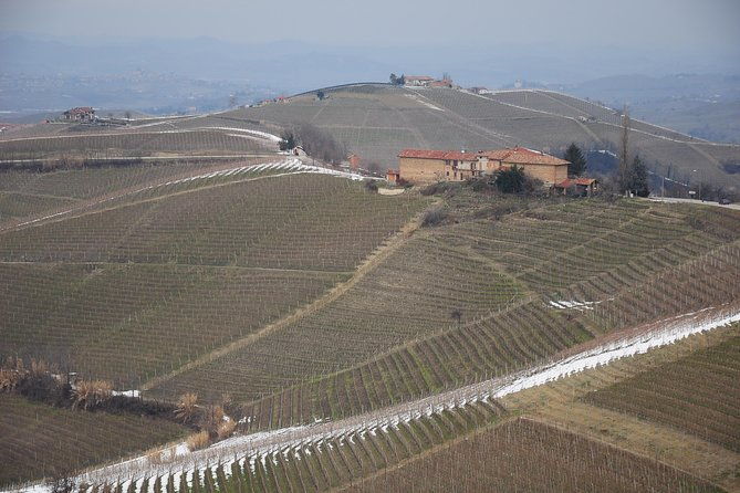 private-tour-from-turin-full-day-langhe-region-with-its-colors-and-flavors