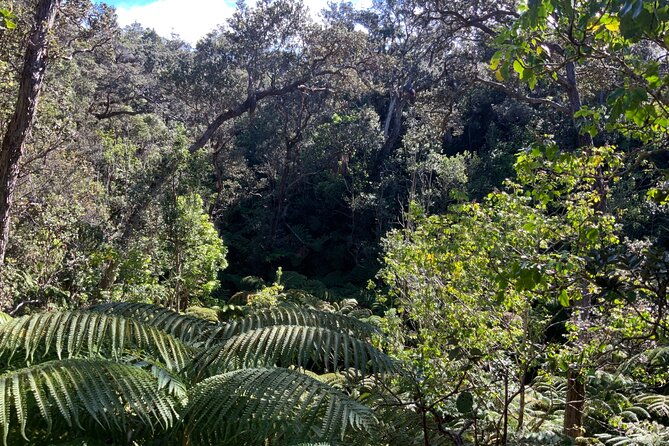 private-tour-in-hilo-kona