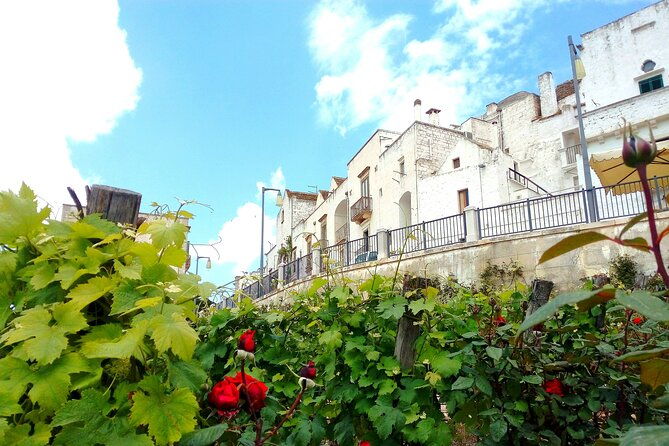 private-tour-in-the-itria-valley