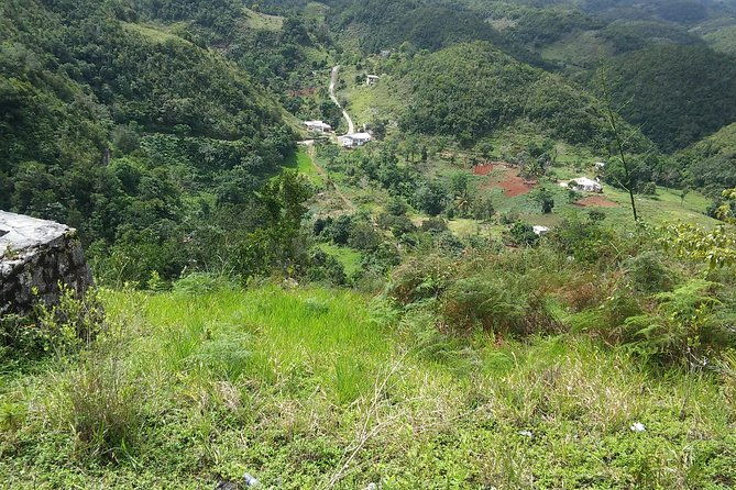 private-tour-ocho-rios-or-runaway-bay-to-9-mile-bob-marley-birth-resting-place