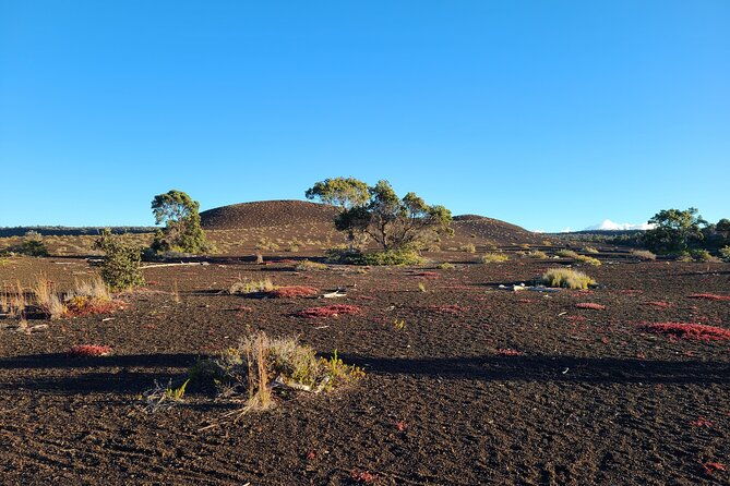 private-tour-of-hawaii-volcanoes-national-park