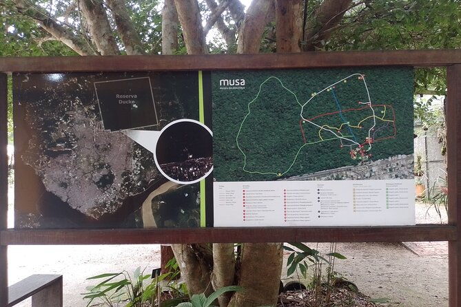 private-tour-of-musa-botanical-garden-amazon-museum