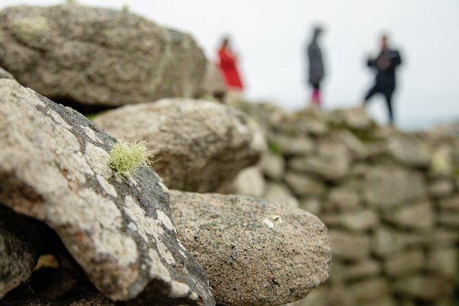 private-tour-of-west-cornwall-highly-varied-full-day-experience