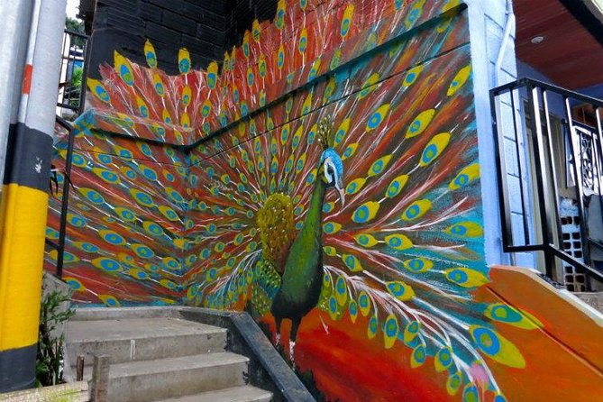 private-tour-street-art-in-medellin-urban-art-cultural-identity