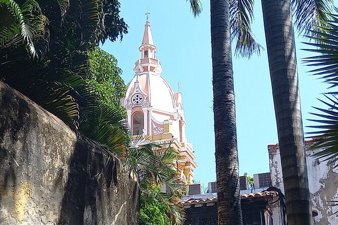 private-tour-the-best-coffee-of-the-world-in-cartagena-also-for-cruisers