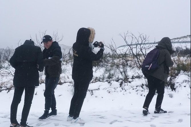 private-tour-through-serra-da-estrela-park-and-its-famous-cheese-2