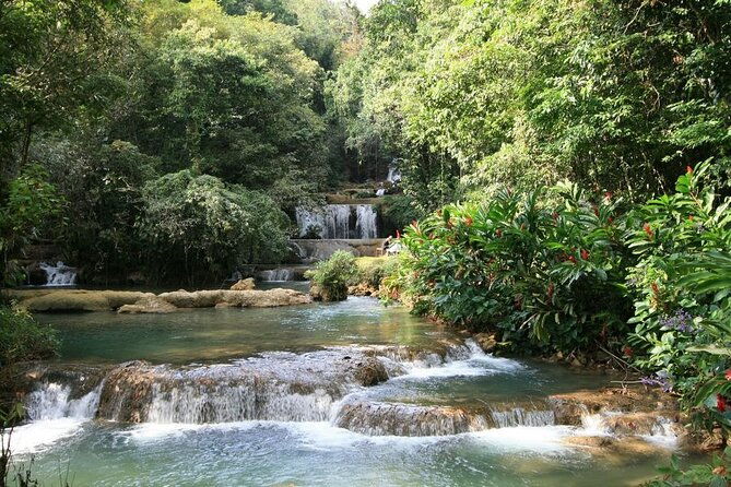 private-tour-to-ys-falls-appleton-rum-tour-and-pelican-bar-from-montego-bay