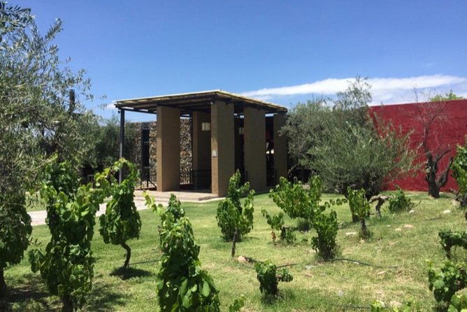 private-tour-visit-trapiche-and-lunch-the-enemy-michelin