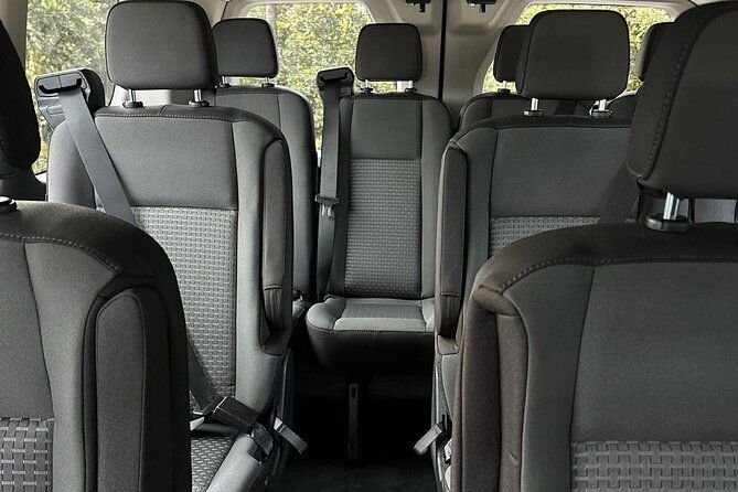 private-transfer-van-to-mco-disney-and-univ-up-to-14-passenger