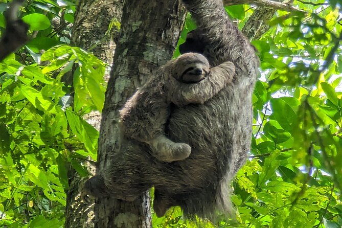 private-trip-to-waterfalls-and-beaches-in-costa-rica