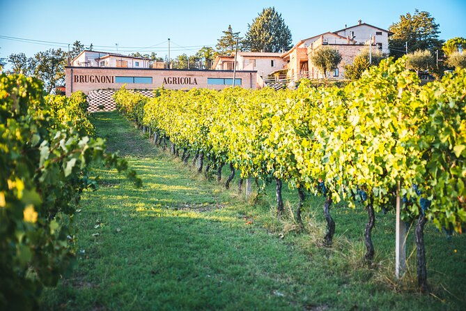 private-visit-to-the-brugnoni-winery-with-tasting-of-4-wines