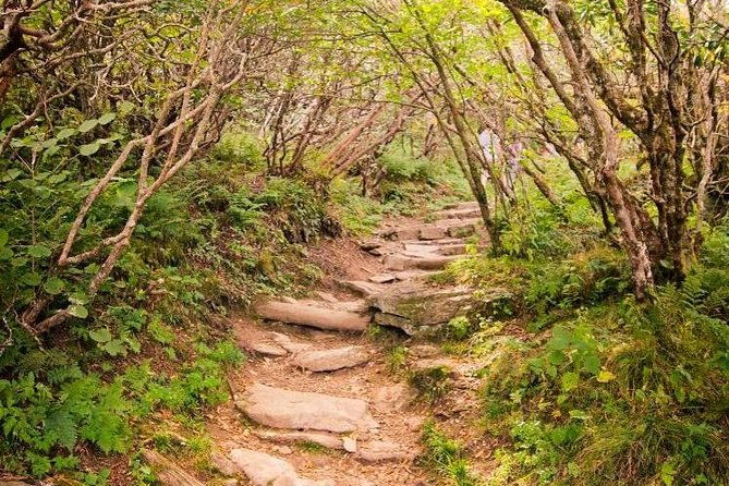 private-waterfall-and-blue-ridge-parkway-tour-with-a-naturalist-2