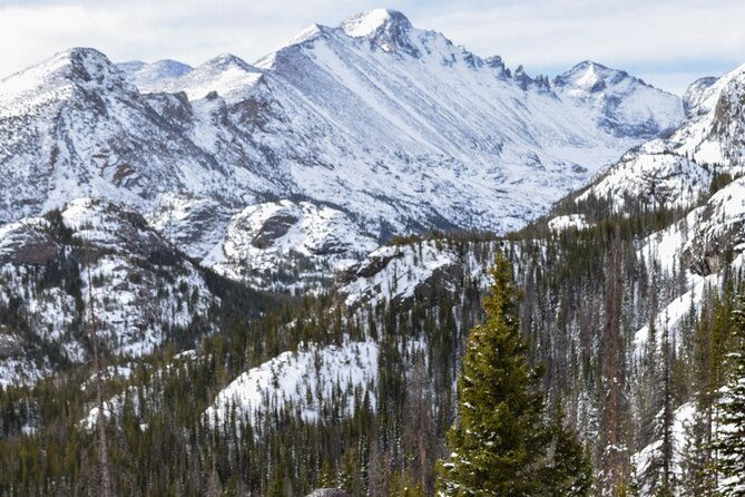 private-wildlife-hiking-tour-in-rocky-mountain-national-park