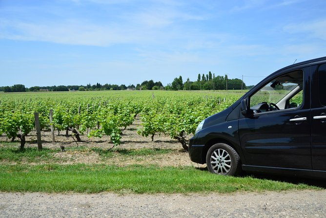 private-wine-cheese-tour-to-loire-valley-vineyards-from-paris-2