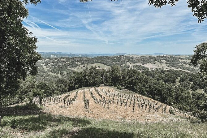 private-wine-tour-in-paso-robles