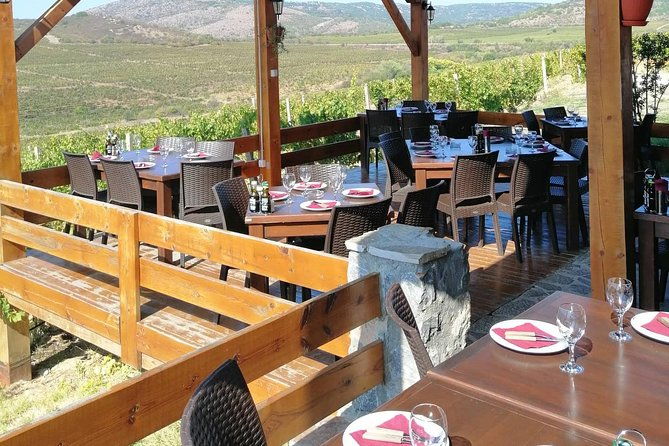 private-wine-tour-of-chateau-sopot-winery-from-skopje