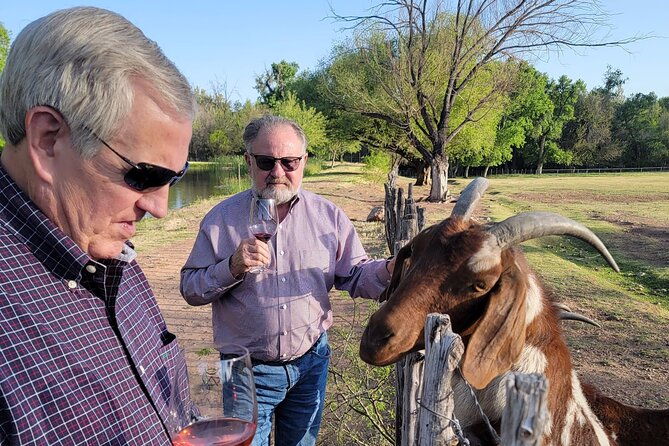 private-wine-tour-voted-best-in-town-tastings-included