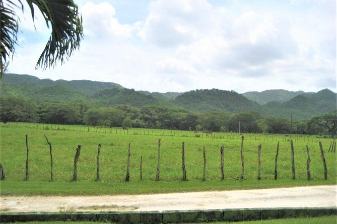 private-ys-falls-and-black-river-safari-from-montego-bay-and-grand-palladium
