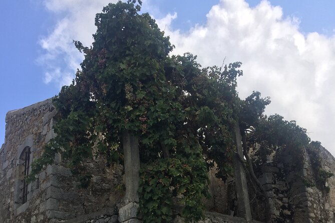 private-zeus-winery-olive-oil-factory-old-traditional-villages