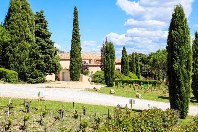 provence-mont-sainte-victoire-in-search-of-cezanne-private-wine-tour-2
