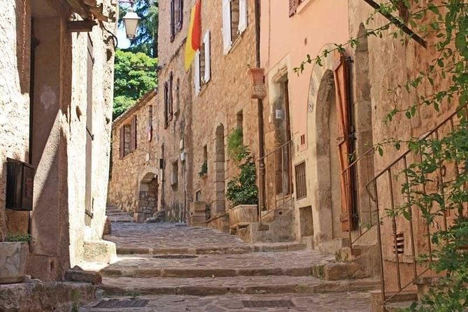 provence-private-full-day-wine-tour-with-wine-tasting