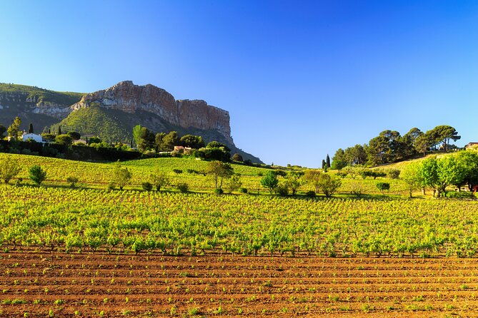 provence-small-group-half-day-wine-tour-from-aix