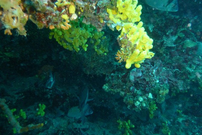 pula-boat-trip-with-snorkeling