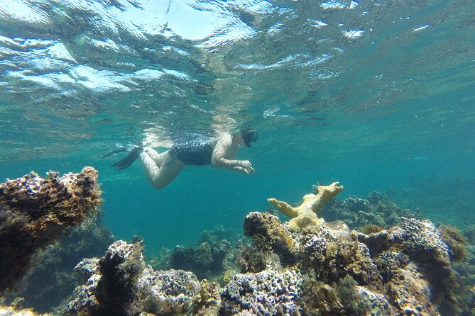 punta-cana-exclusive-adults-only-snorkel-with-food-and-drinks