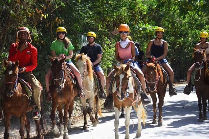 punta-cana-horse-riding-for-beaches-in-field