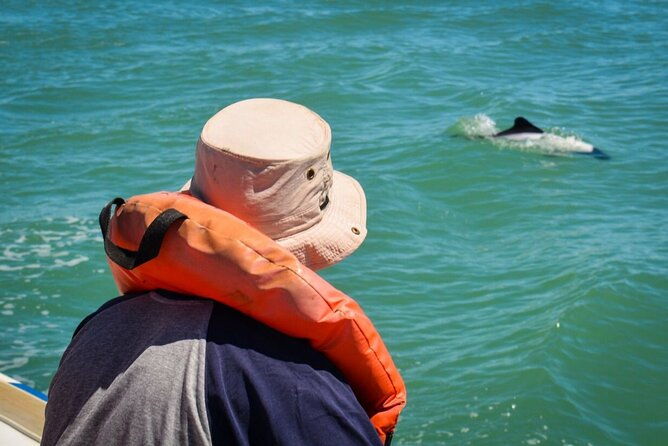 punta-tombo-penguin-colony-from-puerto-madryn-with-optional-toninas-watching
