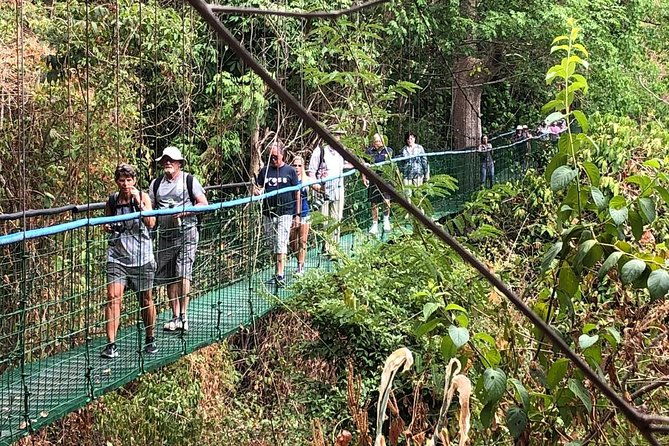 puntarenas-shore-excursion-rainforest-hanging-bridges-skywalk-tour-boat-tour