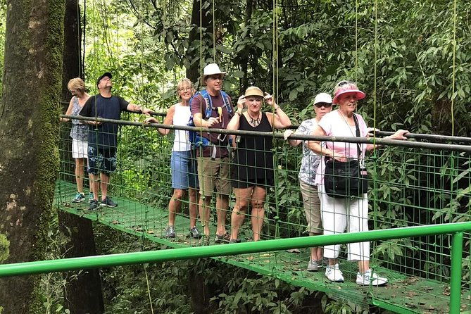 puntarenas-shore-excursion-rainforest-skywalk-tarcoles-river