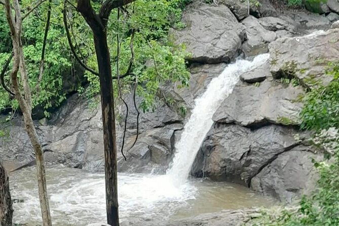 quad-tour-in-guanacaste-with-pickup