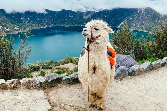 quilotoa-tour-full-day-with-lunch