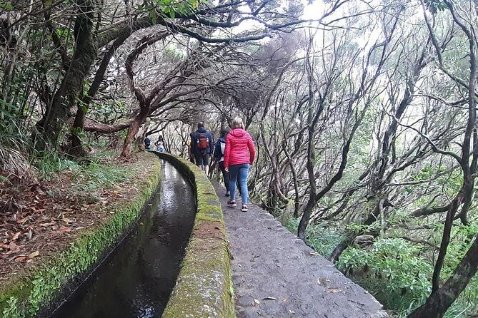 rabacal-hike-25-fontes-risco-levada-self-guided