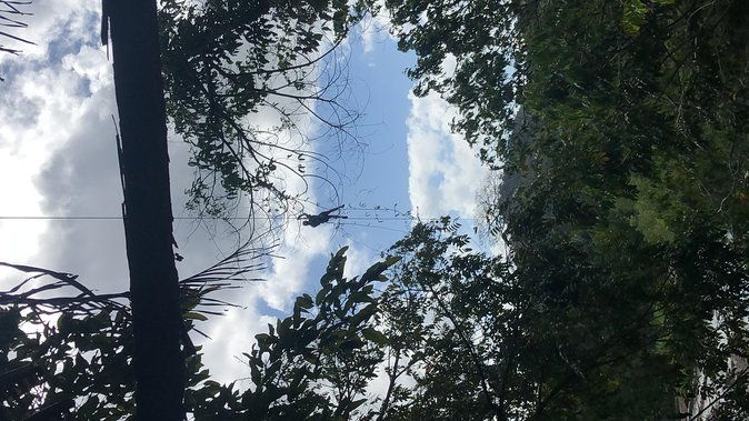 rain-forest-zip-line-adventure-belize-sign-rum-factory-from-belize-city