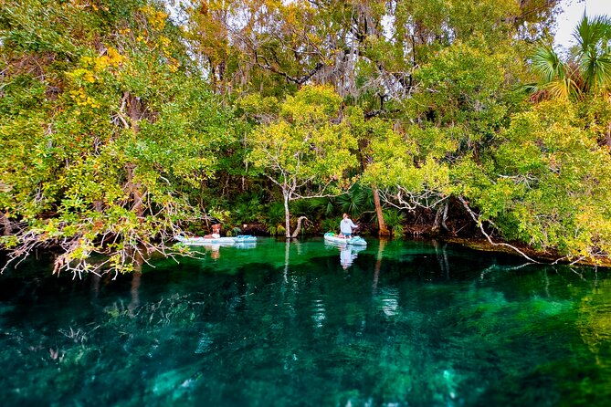 rainbow-springs-paddle-board-adventure