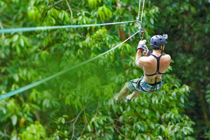 rainforest-canopy-adventure-from-vieux-fort-or-north-island-st-lucia