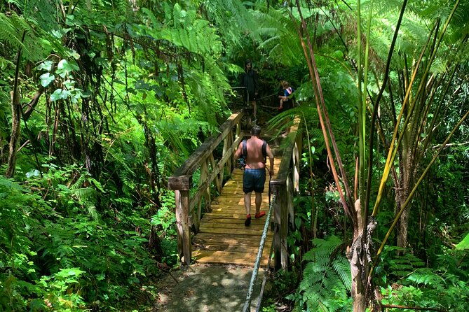 rainforest-nature-walk-luquillo-beach-combo