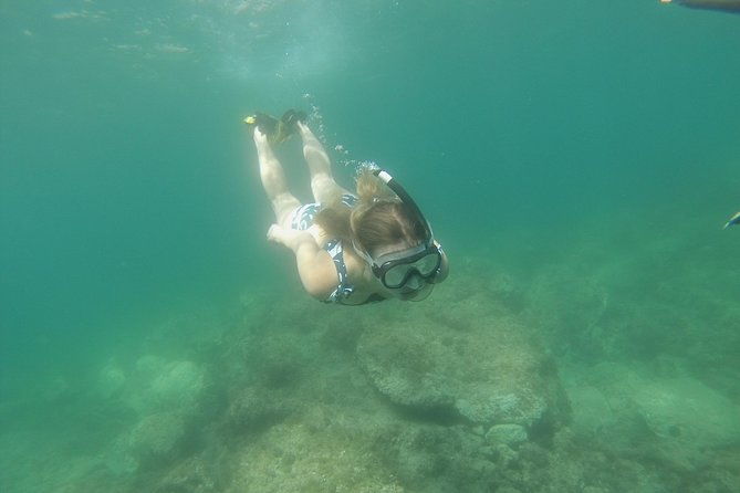 rando-palmee-getaway-around-an-island