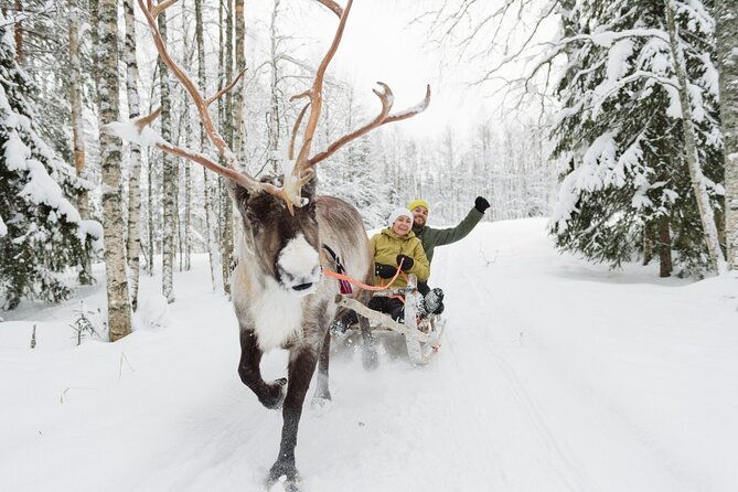reindeer-sleigh-ride-and-farm-experience-from-rovaniemi