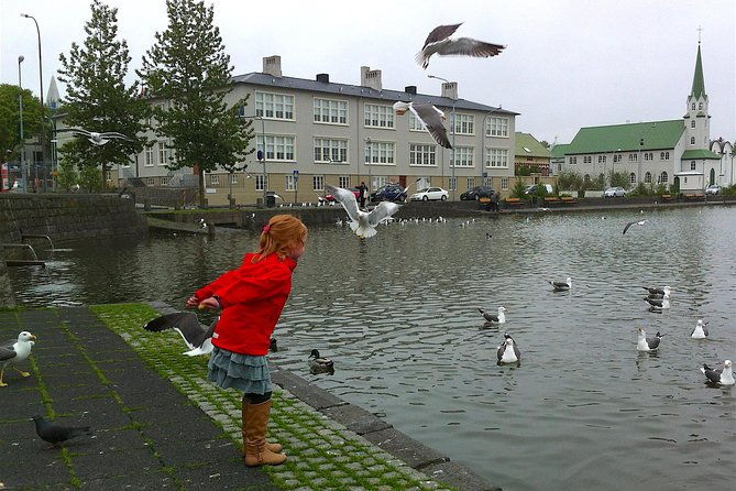reykjavik-food-tour-and-city-walk-private-tour