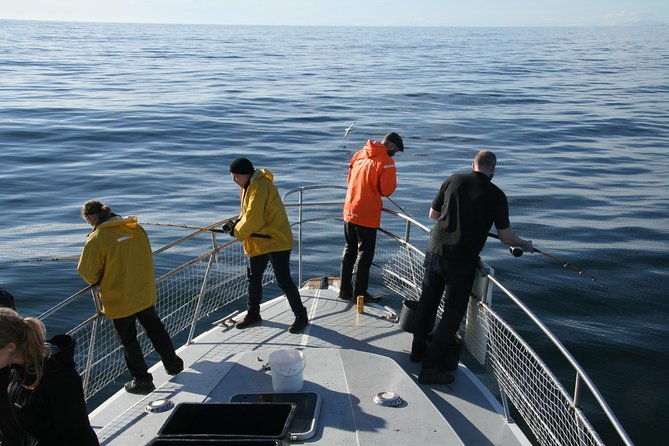 reykjavik-sea-angling-gourmet