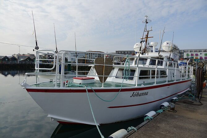 reykjaviks-finest-catch-guided-sea-angling-tour-for-all-levels