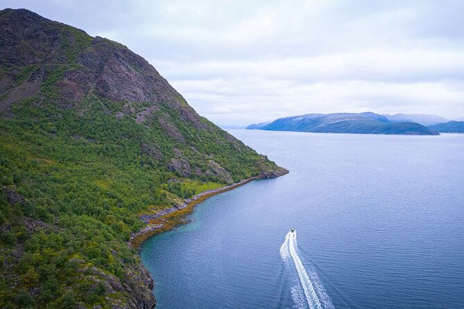 rib-expedition-to-seiland-national-park-3-5h