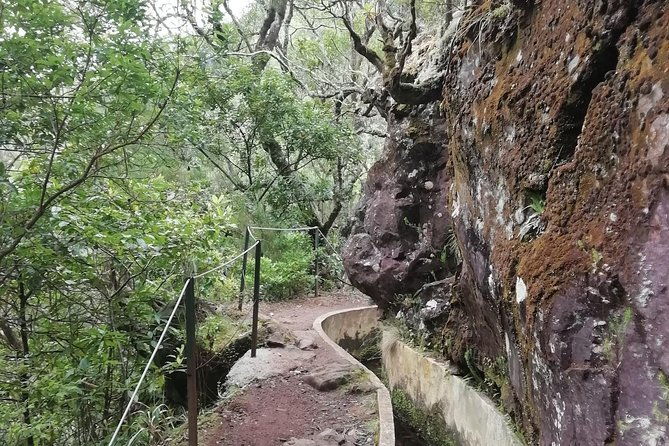 ribeiro-frio-portela-2